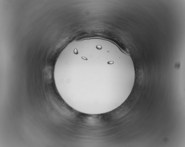 X0000110930232200907091528