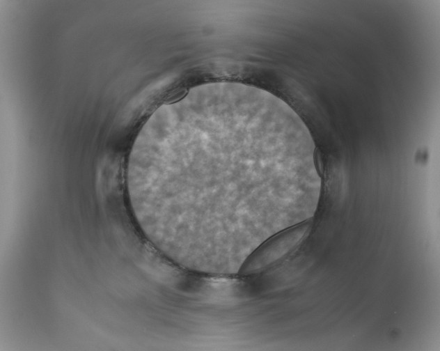 X0000110930233200907091528