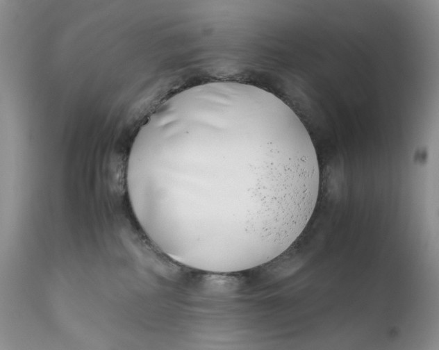 X0000110930234200907091528