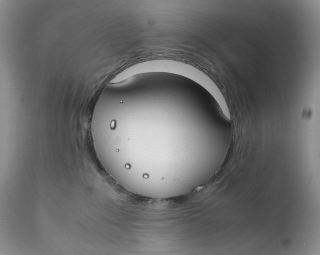 X0000110930235200907091528