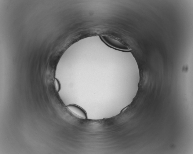 X0000110930236200907091528