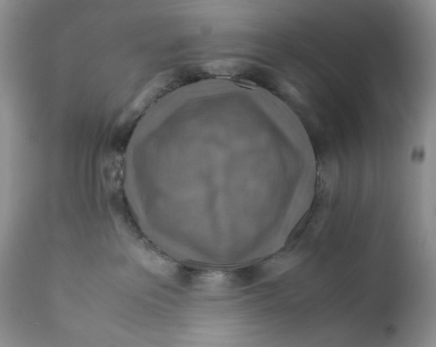 X0000110930237200907091528