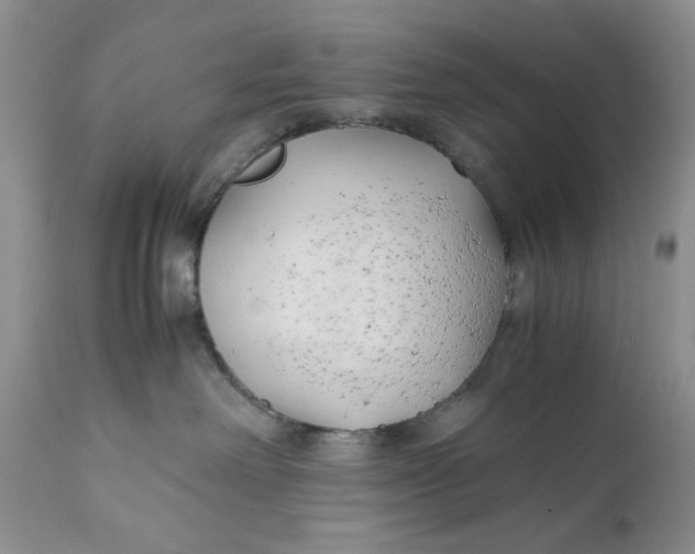 X0000110930238200907091528