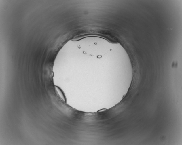 X0000110930240200907091528