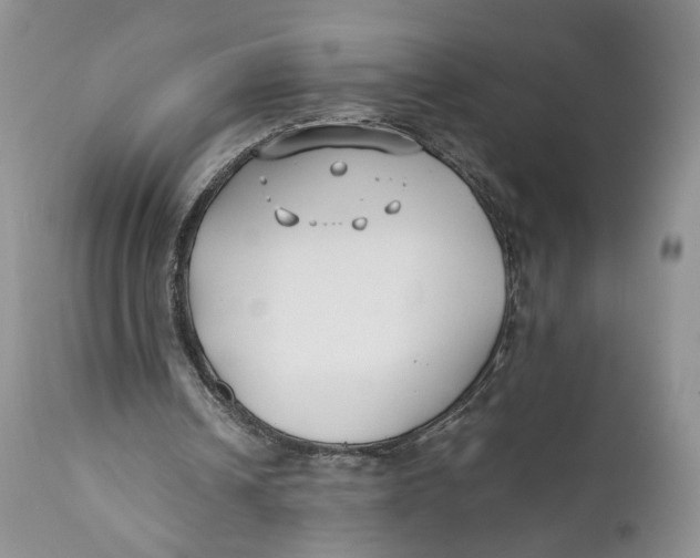 X0000110930242200907091528