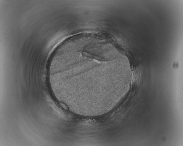 X0000110930243200907091528