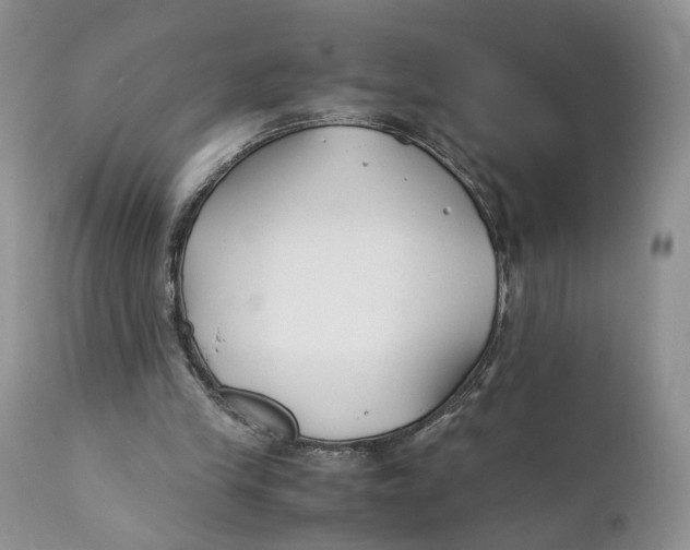 X0000110930245200907091528