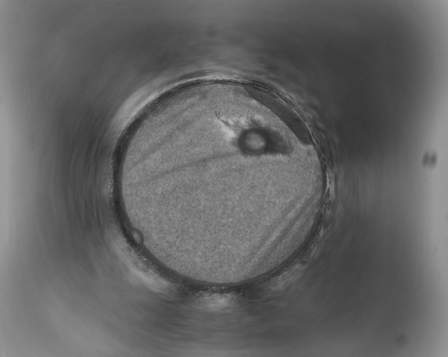 X0000110930247200907091528