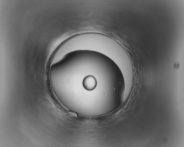 X0000110930248200907091528