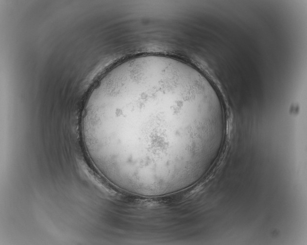 X0000110930249200907091528