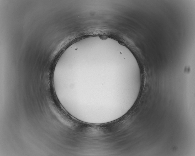 X0000110930250200907091528