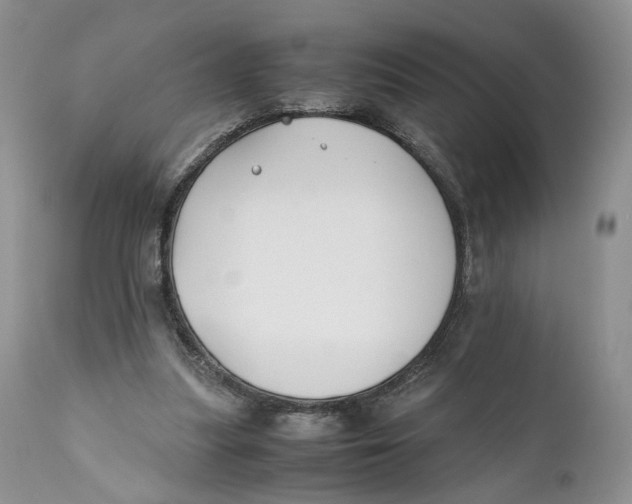 X0000110930251200907091528