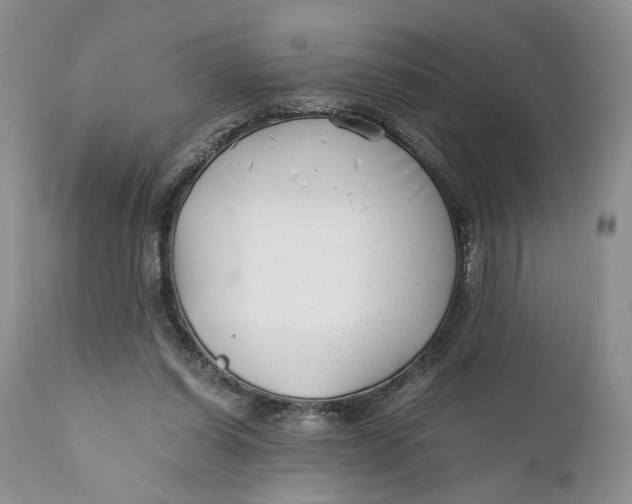 X0000110930254200907091528