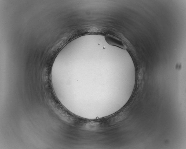 X0000110930257200907091528