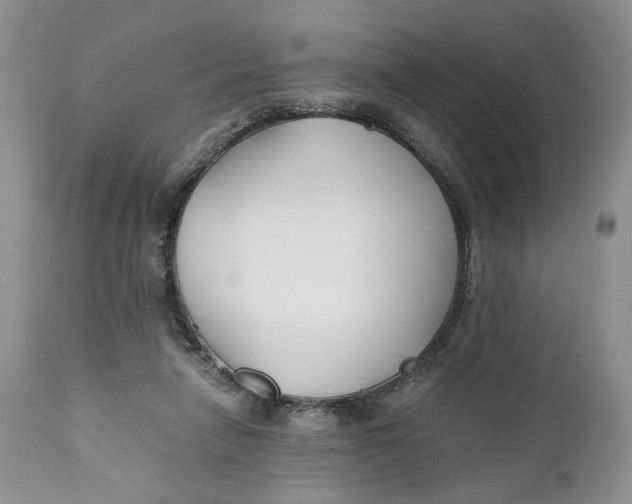 X0000110930258200907091528