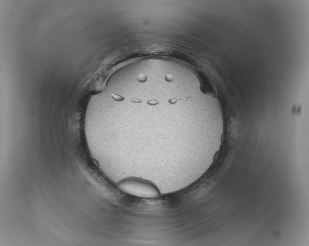 X0000110930260200907091528