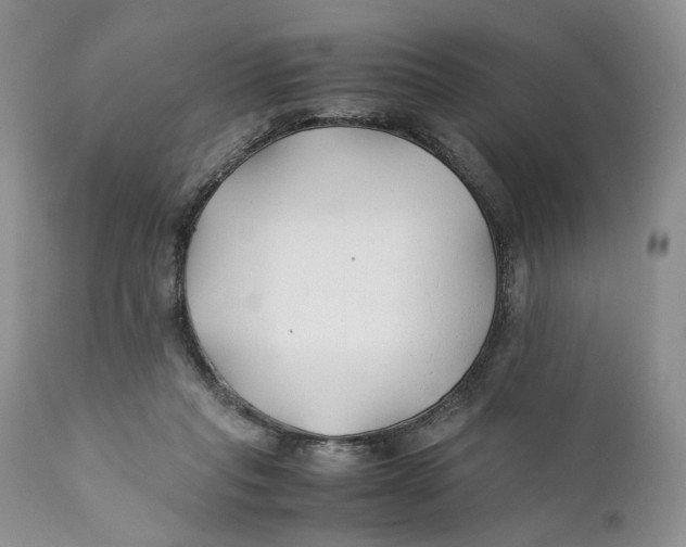 X0000110930261200907091528