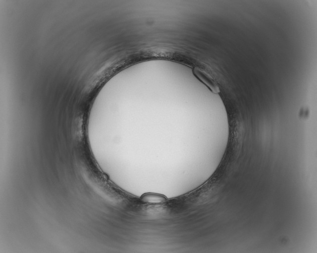 X0000110930262200907091528