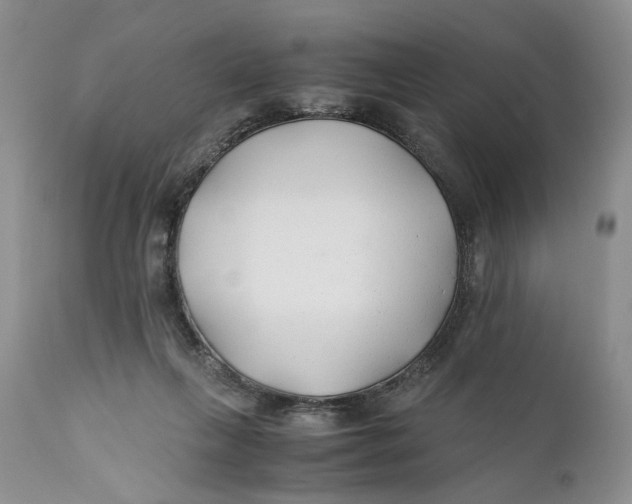 X0000110930263200907091528