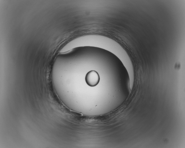 X0000110930268200907091528