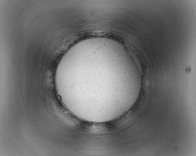 X0000110930270200907091528