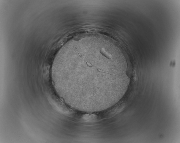 X0000110930271200907091528