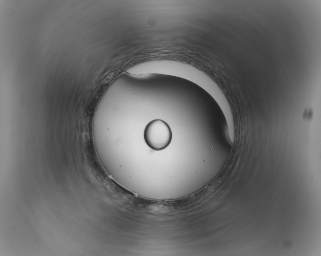 X0000110930272200907091528