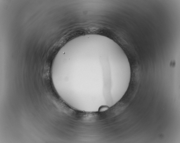 X0000110930274200907091528