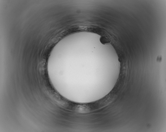 X0000110930275200907091528