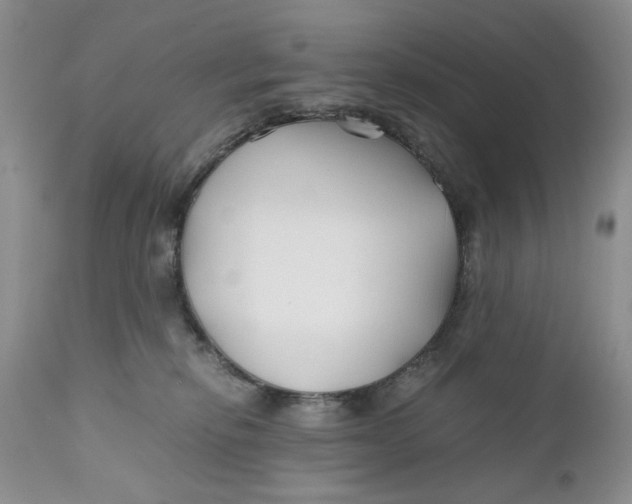 X0000110930278200907091528