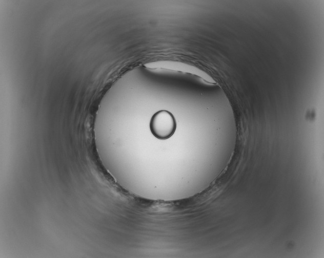X0000110930280200907091528