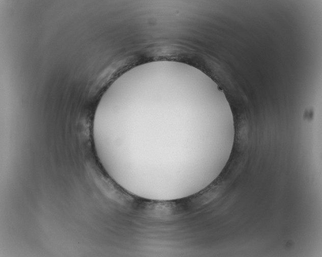 X0000110930282200907091528