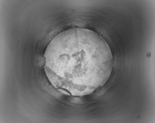 X0000110930285200907091528