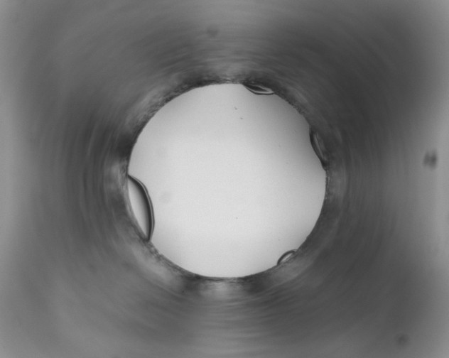 X0000110930286200907091528