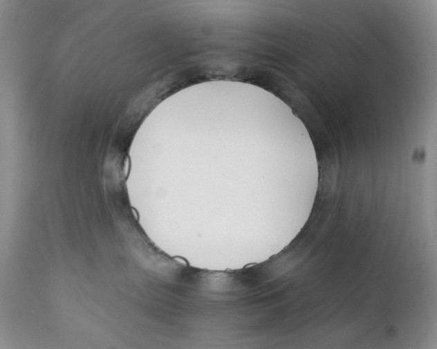 X0000110930287200907091528