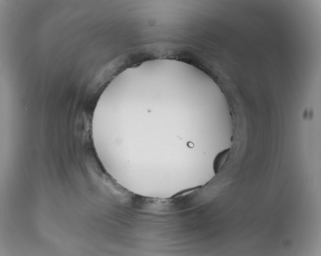 X0000110930288200907091528