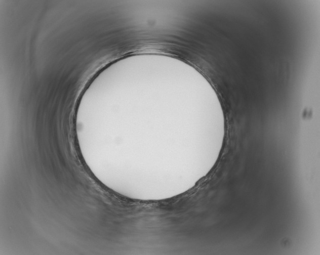X0000110930289200907091528