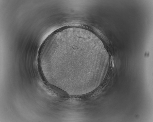 X0000110930292200907091527
