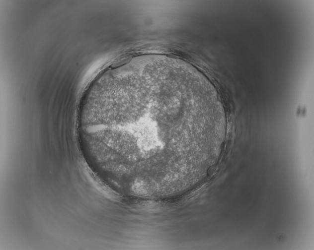 X0000110930293200907091527