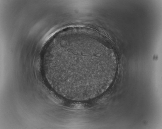 X0000110930295200907091527