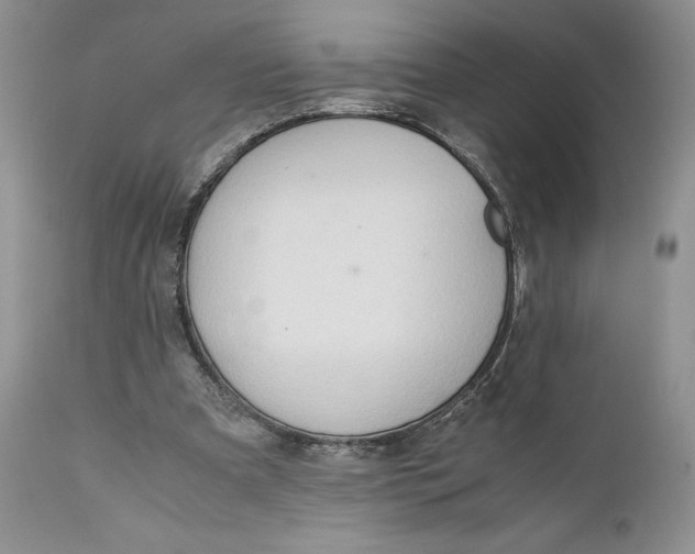X0000110930297200907091527