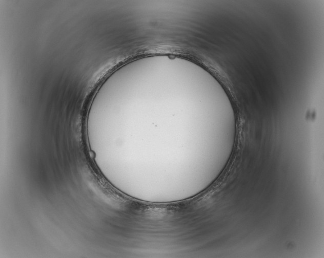 X0000110930298200907091527