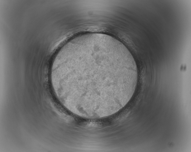 X0000110930303200907091527