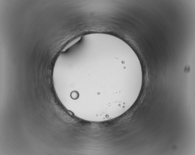 X0000110930305200907091527