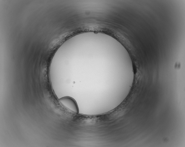 X0000110930306200907091527
