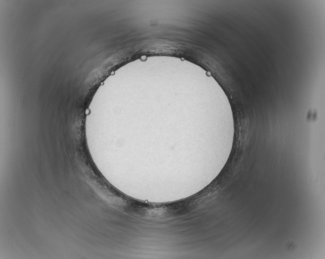 X0000110930309200907091527