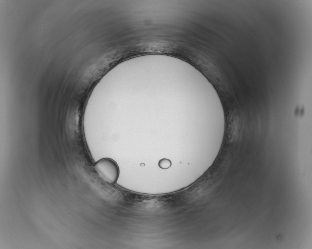 X0000110930310200907091527