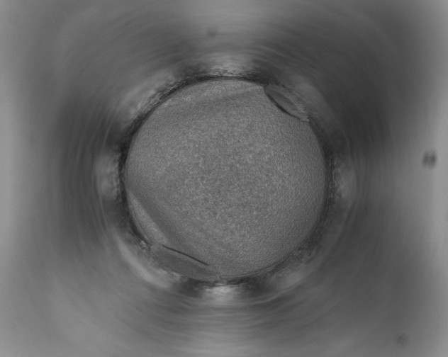 X0000110930312200907091527