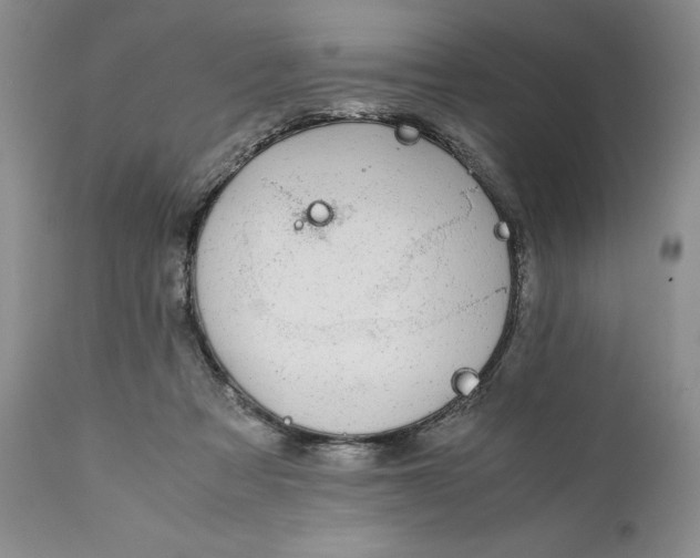 X0000110930313200907091527