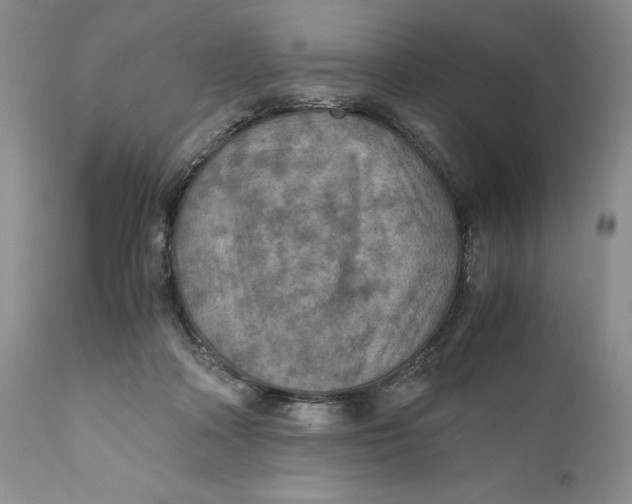 X0000110930314200907091527